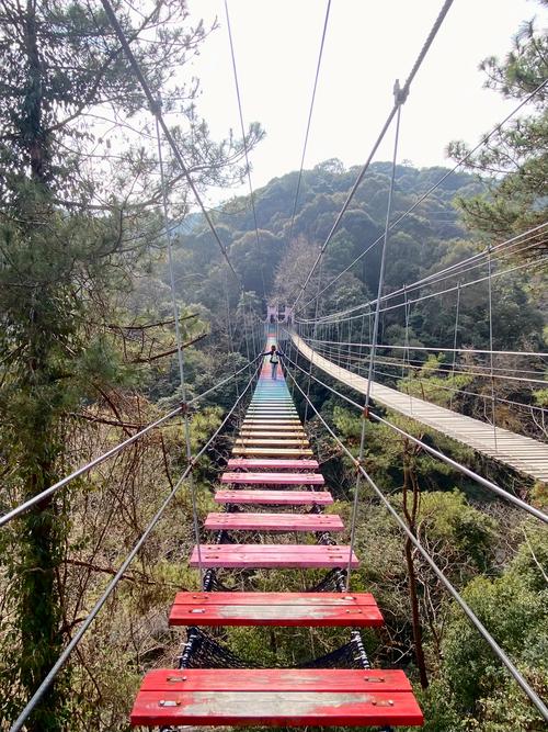 福建周边省份哪里好逛?-第1张图片-花冠旅游服务 福建周边省份哪里好逛?-第1张图片-花冠旅游服务