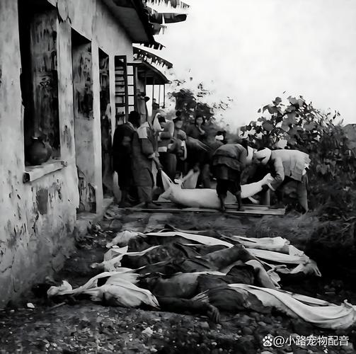 江西宜黄9·10事件真相究竟如何?-第1张图片-花冠旅游服务 江西宜黄9·10事件真相究竟如何?-第1张图片-花冠旅游服务