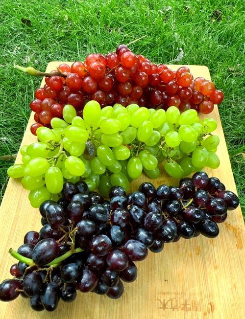 新疆吐鲁番有哪些特色水果?-第1张图片-花冠旅游服务 新疆吐鲁番有哪些特色水果?-第1张图片-花冠旅游服务