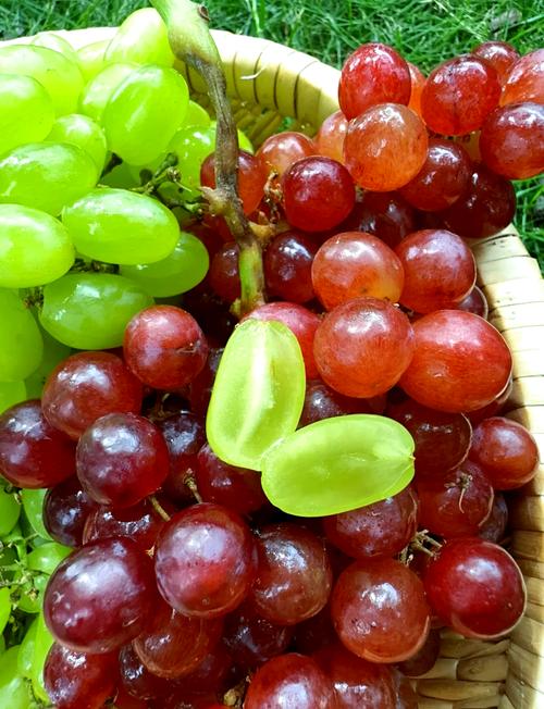 新疆吐鲁番有哪些特色水果?-第2张图片-花冠旅游服务 新疆吐鲁番有哪些特色水果?-第2张图片-花冠旅游服务