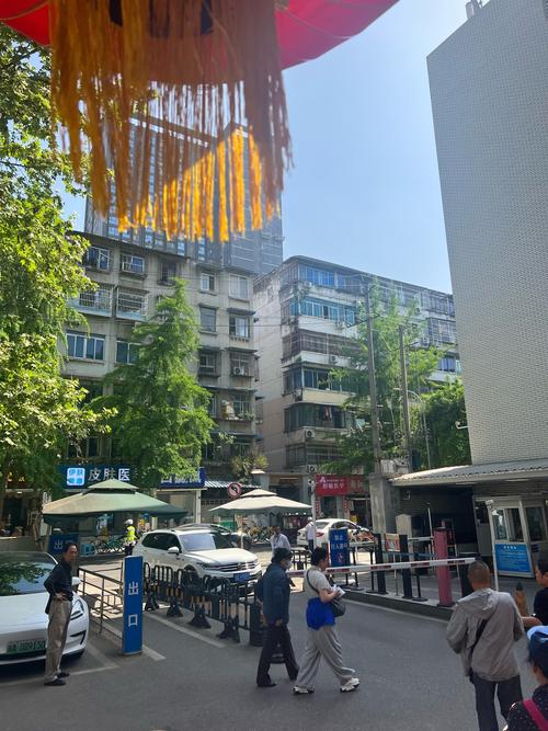 上海闸北芷江西路街道有何特色?-第2张图片-花冠旅游服务 上海闸北芷江西路街道有何特色?-第2张图片-花冠旅游服务