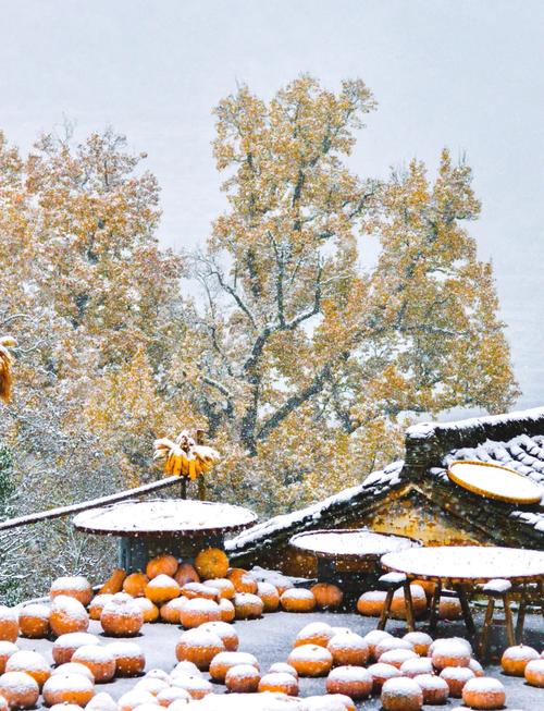 江西冬天有哪些好玩的景点?-第2张图片-花冠旅游服务 江西冬天有哪些好玩的景点?-第2张图片-花冠旅游服务