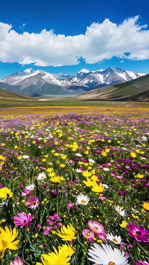 新疆五月旅游去哪玩最合适?-第1张图片-花冠旅游服务 新疆五月旅游去哪玩最合适?-第1张图片-花冠旅游服务