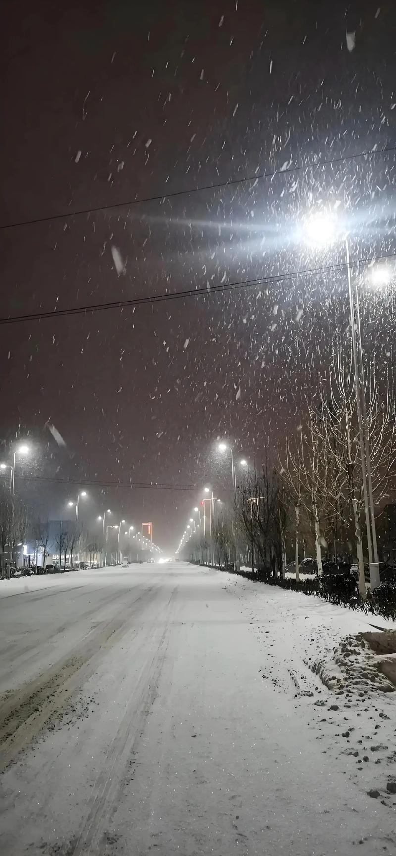 福建2025年哪里会下雪？-第3张图片-花冠旅游服务