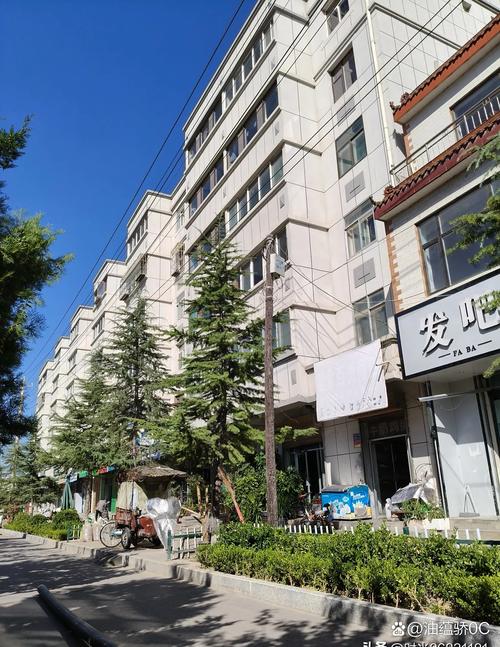 新疆石河子33小区有何故事？-第2张图片-花冠旅游服务