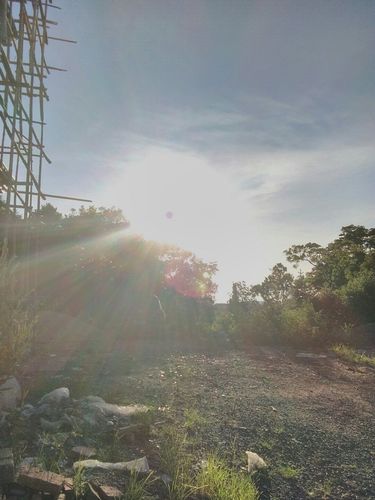 新干县天气如何？未来几天怎么样？-第3张图片-花冠旅游服务