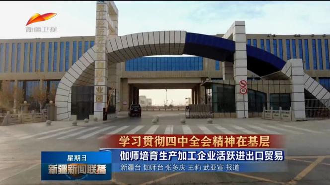 新疆伽师县人社局官网有什么信息？-第3张图片-花冠旅游服务