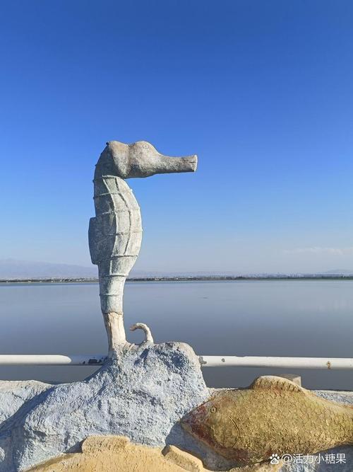 新疆五家渠市属于哪个行政区划？-第2张图片-花冠旅游服务