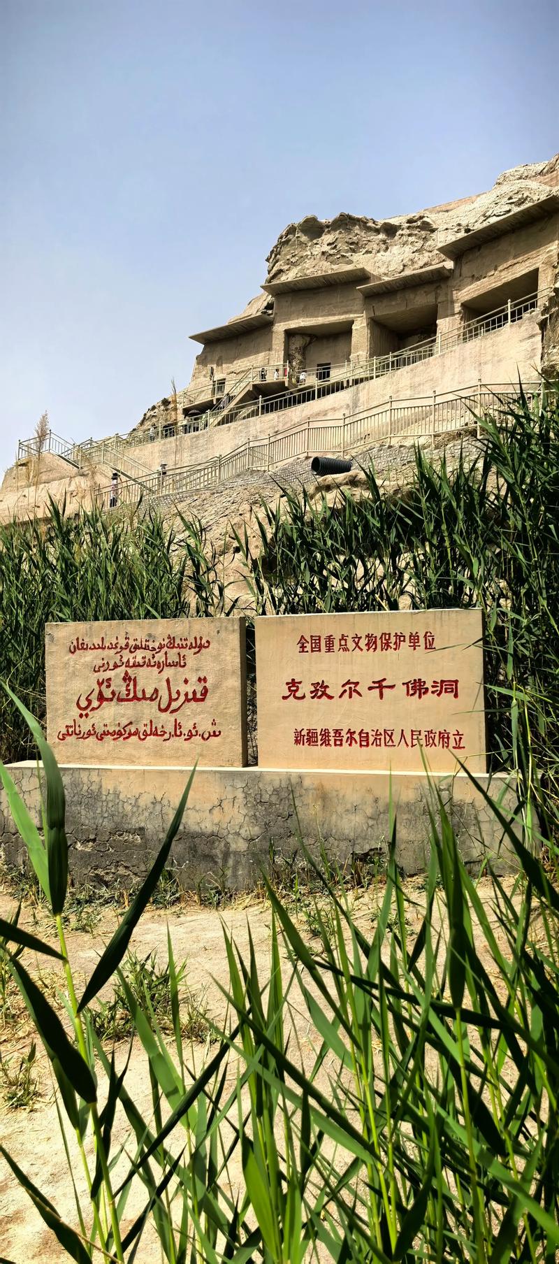 新疆阿克苏地区政府网有何最新动态？-第3张图片-花冠旅游服务