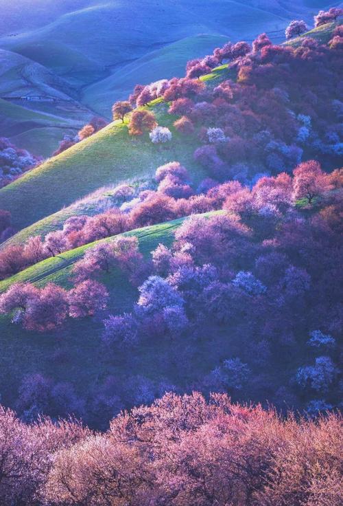 新疆旅游景点四季各有何特色？-第2张图片-花冠旅游服务