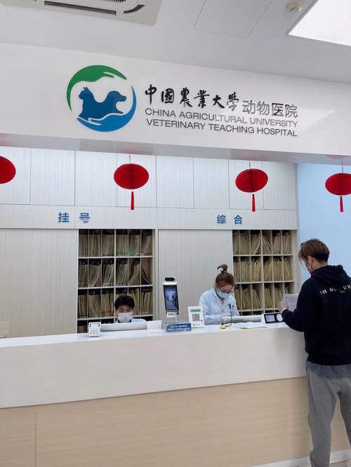新疆农业大学动物医院有何特色服务？-第2张图片-花冠旅游服务