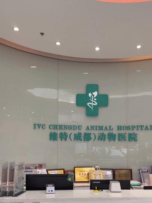 新疆农业大学动物医院有何特色服务？-第3张图片-花冠旅游服务