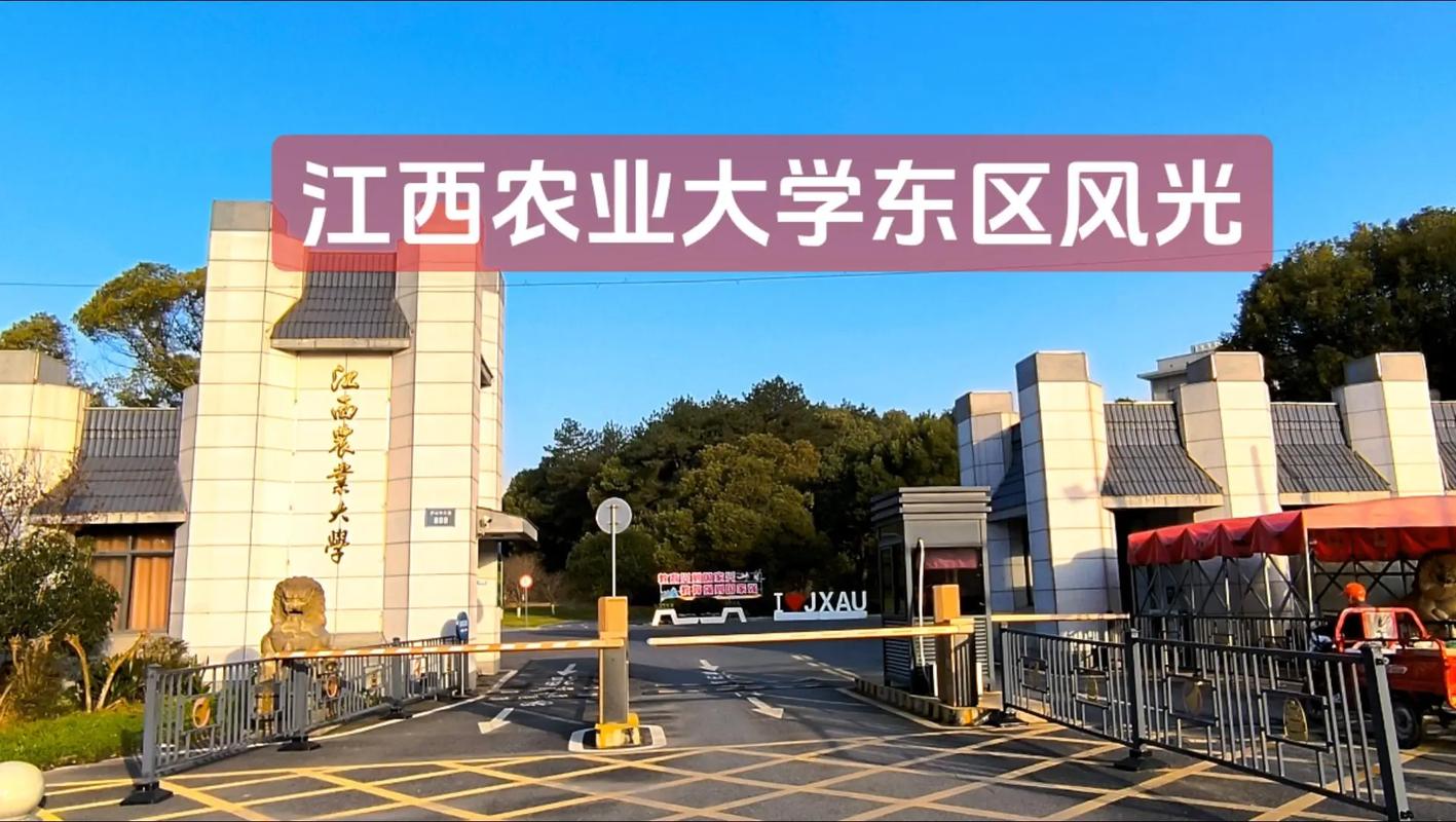 江西农业大学具体属于哪个区？-第2张图片-花冠旅游服务