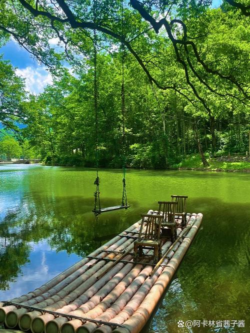 江西三爪仑国家森林公园-第1张图片-花冠旅游服务