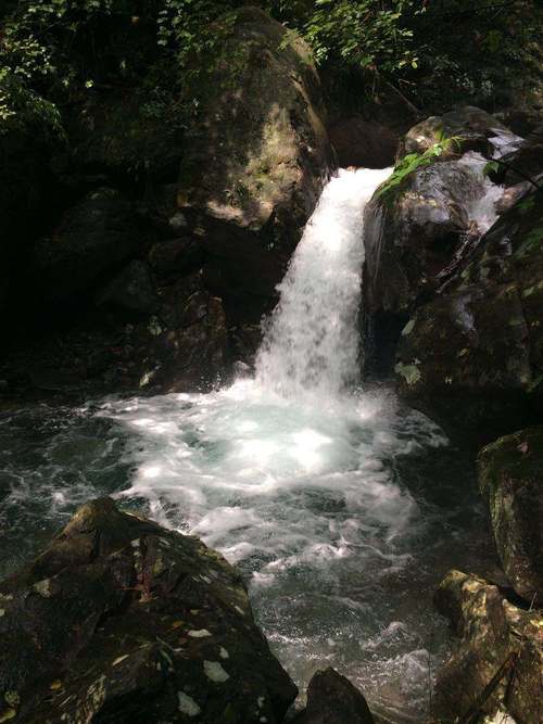 江西三爪仑国家森林公园-第2张图片-花冠旅游服务