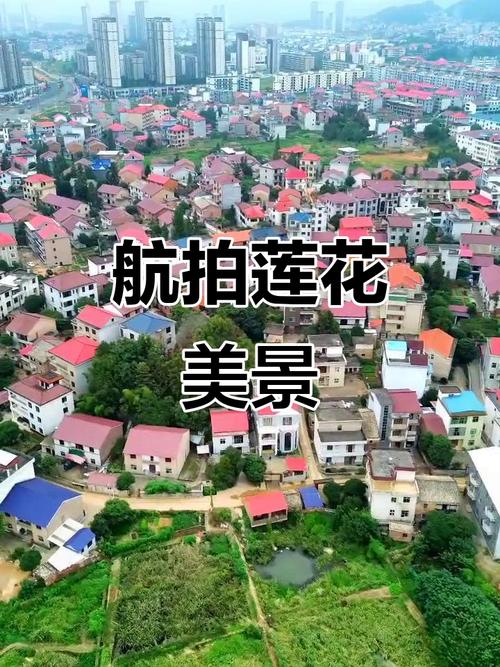 莲花县今日天气如何？-第2张图片-花冠旅游服务