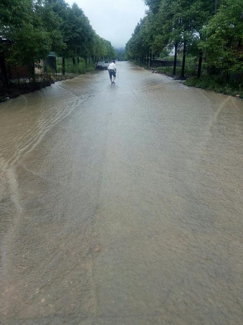 莲花县今日天气如何？-第3张图片-花冠旅游服务
