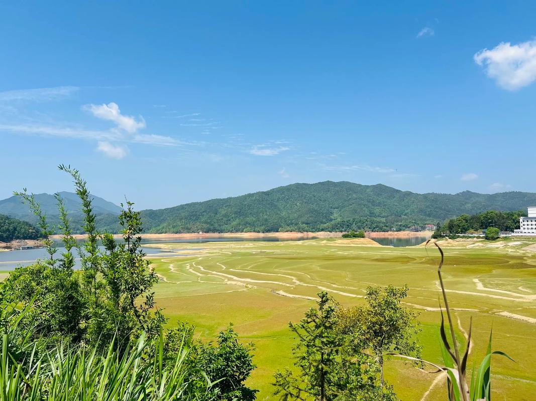 江西赣州上犹县大草园有何特色？-第1张图片-花冠旅游服务