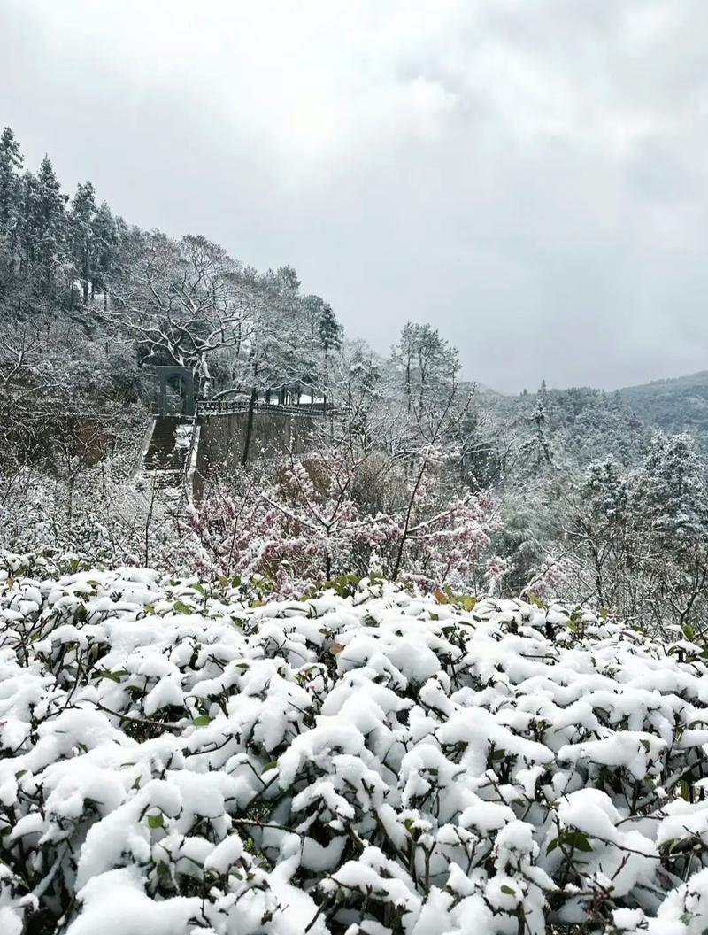 福建哪里能看到下雪?-第1张图片-花冠旅游服务 福建哪里能看到下雪?-第1张图片-花冠旅游服务