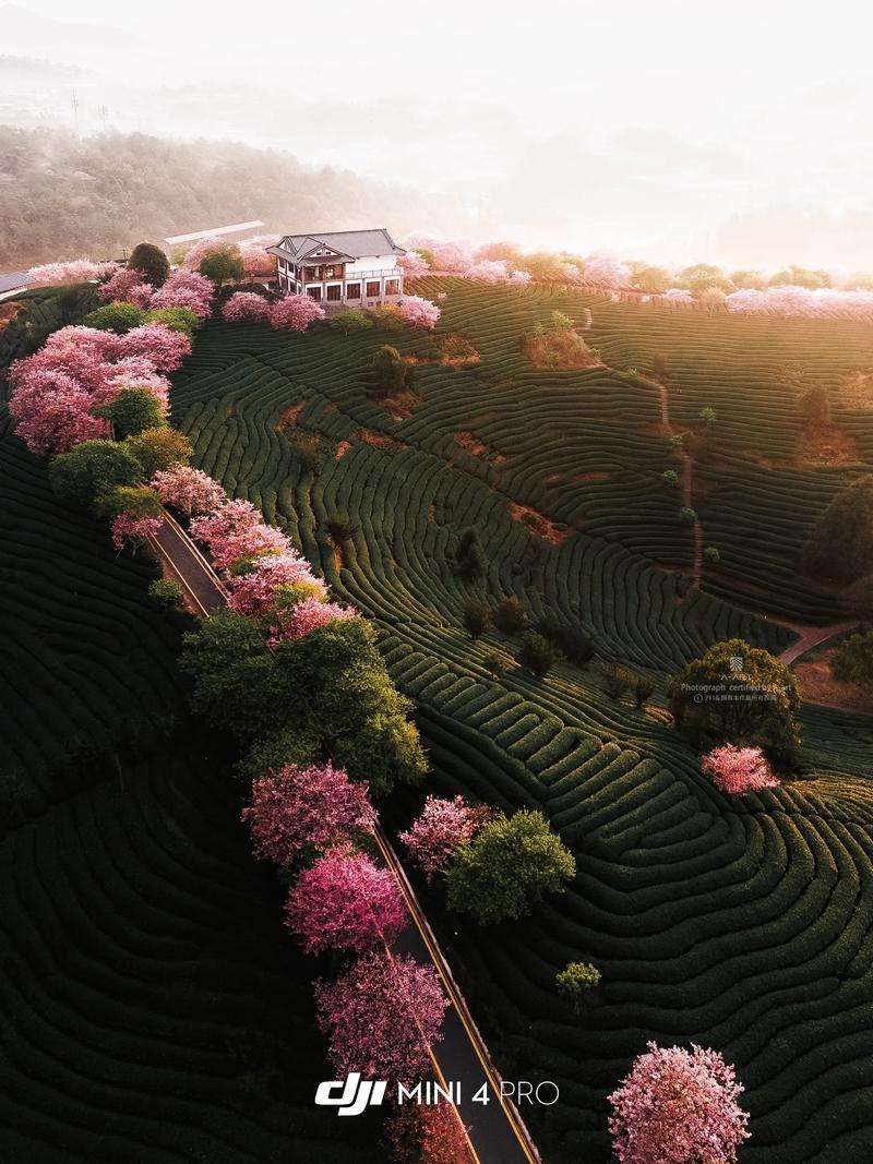 福建龙岩在福建省的具体位置在哪？-第1张图片-花冠旅游服务