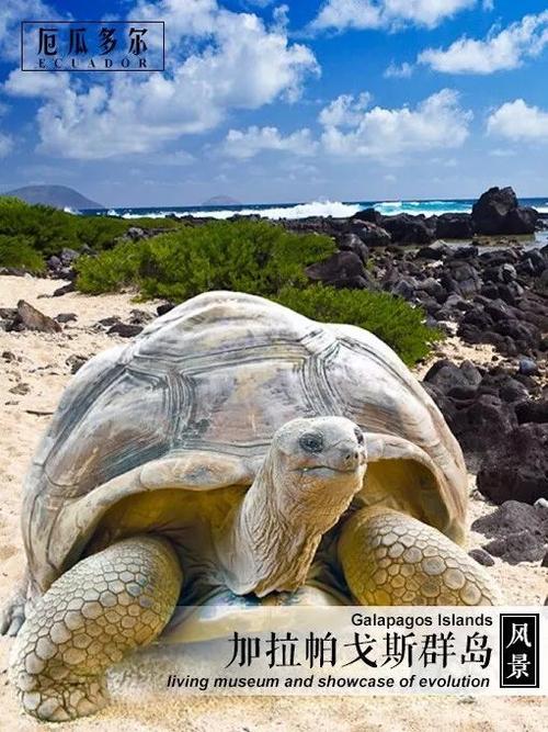 新疆哈萨克斯坦签证处-第2张图片-花冠旅游服务