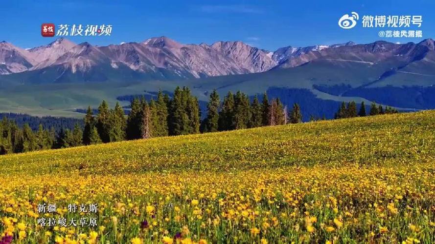 喀拉峻今年花期何时开？-第3张图片-花冠旅游服务