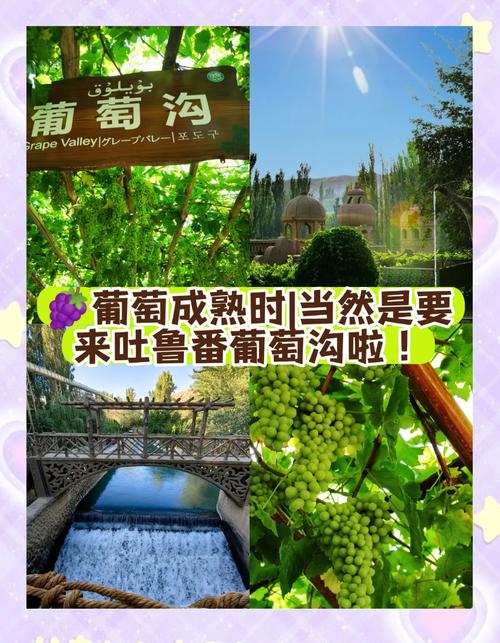 新疆葡萄沟有何独特魅力与故事?-第1张图片-花冠旅游服务 新疆葡萄沟有何独特魅力与故事?-第1张图片-花冠旅游服务