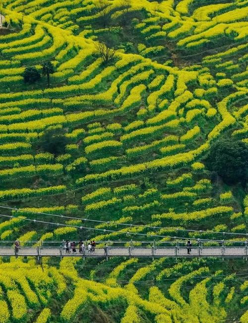 婺源划归景德镇，行政区划调整有何深意？-第1张图片-花冠旅游服务