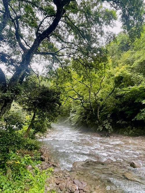 江西三爪仑自驾游怎么玩？路线攻略有哪些？-第3张图片-花冠旅游服务