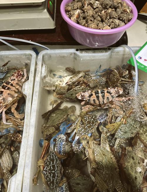 九江哪里能买到新鲜海鲜？-第3张图片-花冠旅游服务