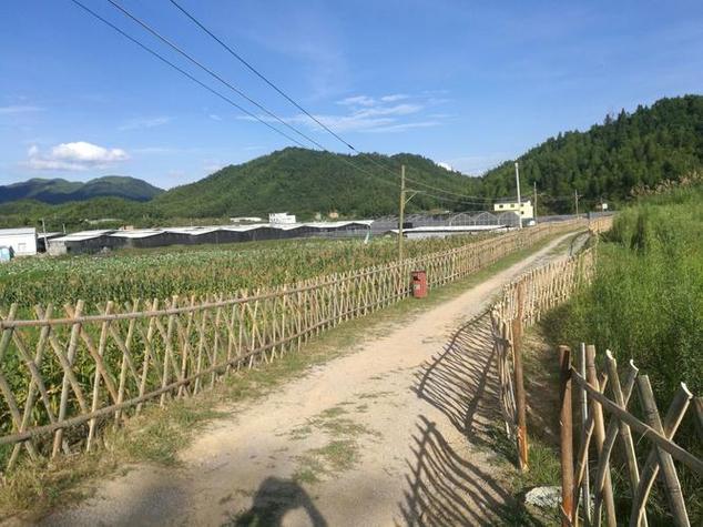 福建罗源天气如何？-第2张图片-花冠旅游服务