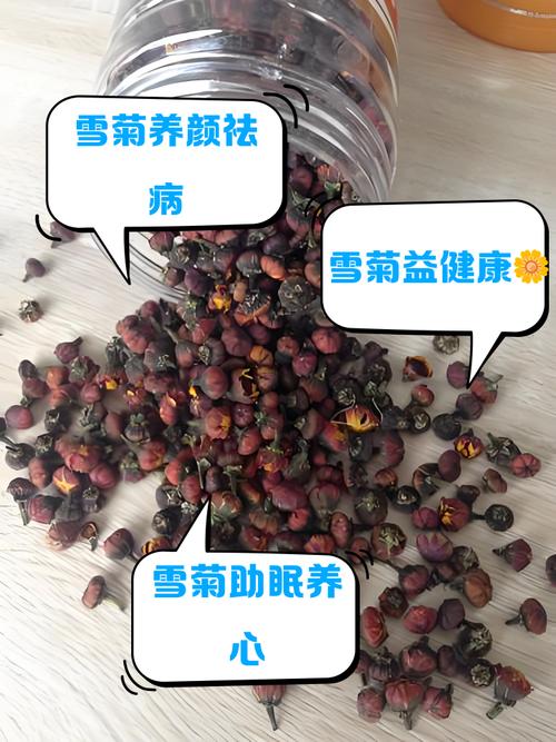 新疆雪菊什么时候采摘-第3张图片-花冠旅游服务