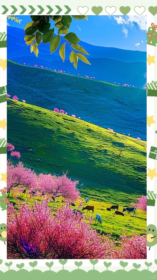 新疆杏花沟旅游门票多少钱？-第2张图片-花冠旅游服务