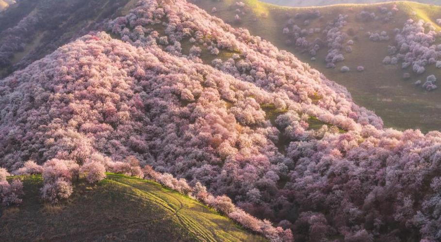 新疆杏花沟旅游门票多少钱？-第3张图片-花冠旅游服务