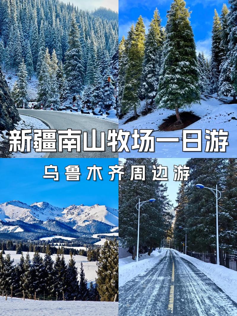 新疆南山牧场门票多少钱?-第2张图片-花冠旅游服务 新疆南山牧场门票多少钱?-第2张图片-花冠旅游服务