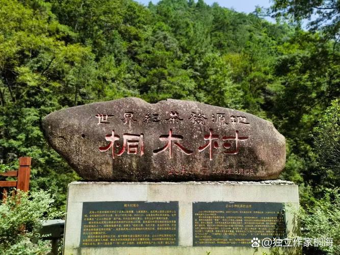 桐木村有何独特魅力与故事?-第1张图片-花冠旅游服务 桐木村有何独特魅力与故事?-第1张图片-花冠旅游服务