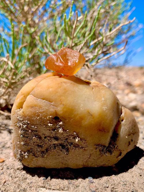 自驾新疆戈壁滩捡石头-第2张图片-花冠旅游服务