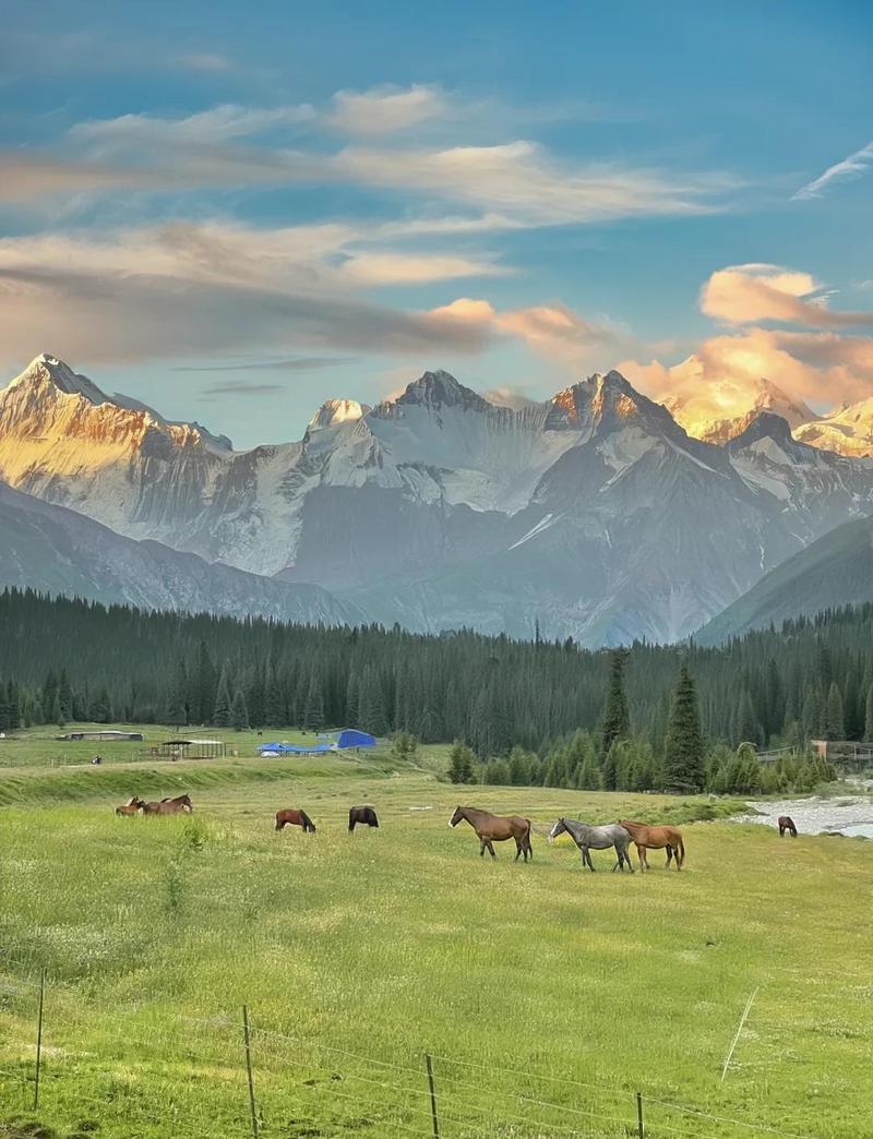 新疆新疆最著名景点有哪些？-第1张图片-花冠旅游服务