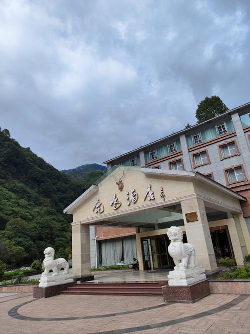 青龙酒店有何特色或服务？-第1张图片-花冠旅游服务