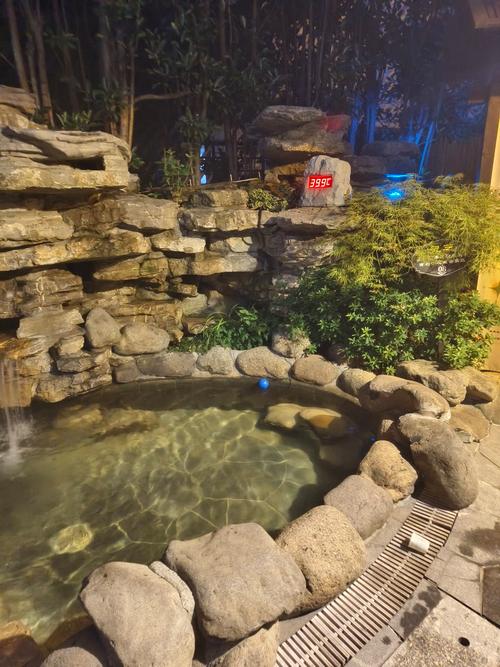 江西四季明月温泉酒店有何特色？-第1张图片-花冠旅游服务