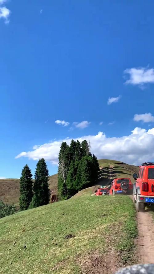 新疆自驾游选什么车最合适？-第2张图片-花冠旅游服务