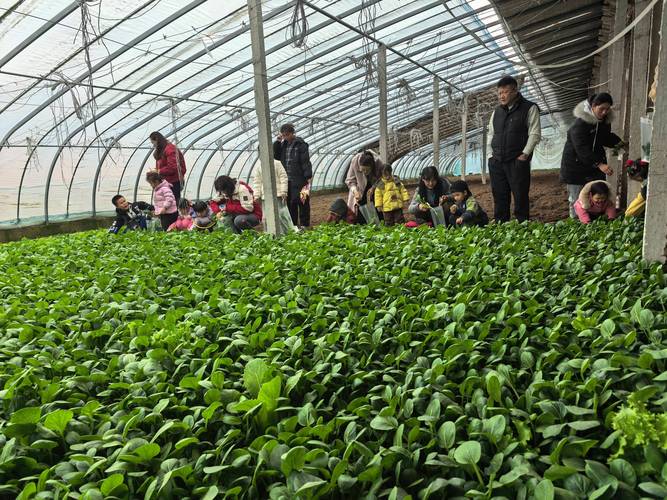 新疆库尔勒中青旅行社怎么样？-第1张图片-花冠旅游服务