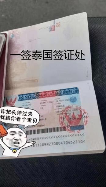 泰国签证为何限制新疆人？-第1张图片-花冠旅游服务