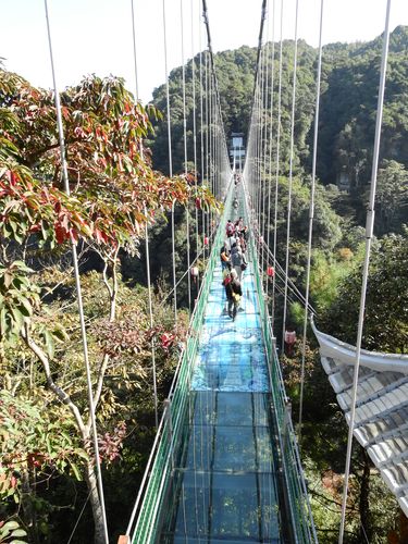 福建三明尤溪玻璃桥有多刺激？-第1张图片-花冠旅游服务
