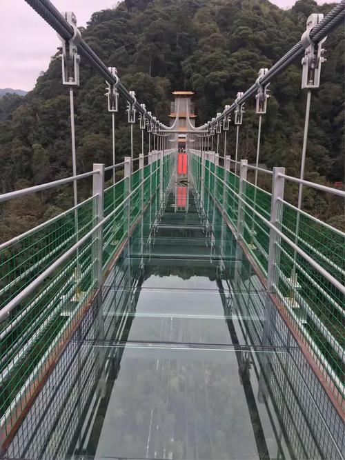 福建三明尤溪玻璃桥有多刺激？-第2张图片-花冠旅游服务