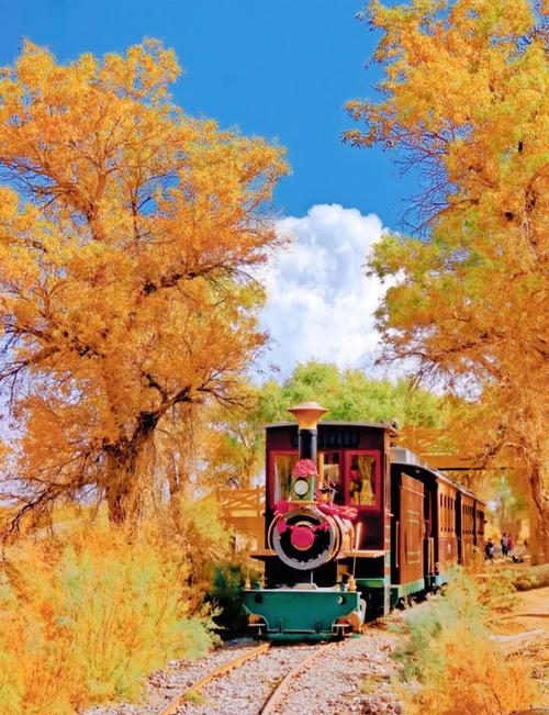 新疆轮台胡杨林具体位置在哪儿？-第1张图片-花冠旅游服务