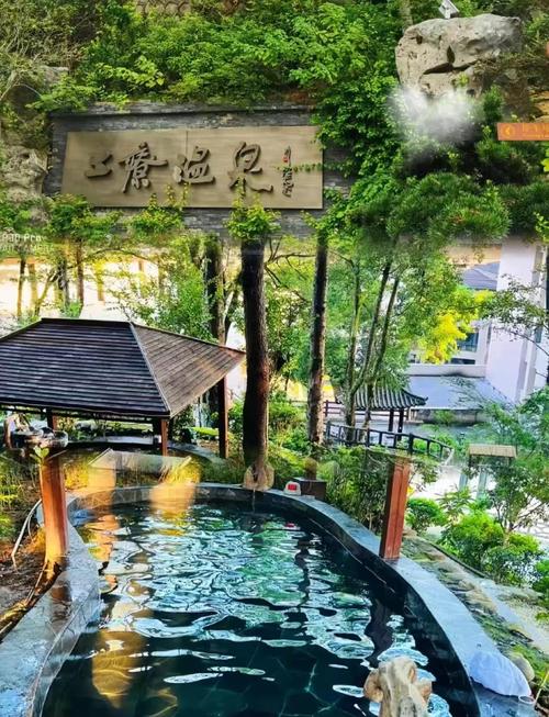 江西宜春温汤镇风景区有何独特魅力？-第1张图片-花冠旅游服务