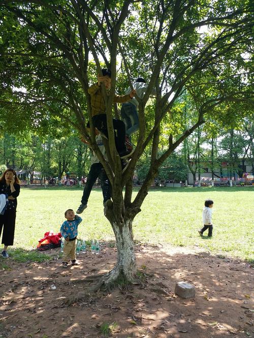 平乡市未来天气如何？-第2张图片-花冠旅游服务