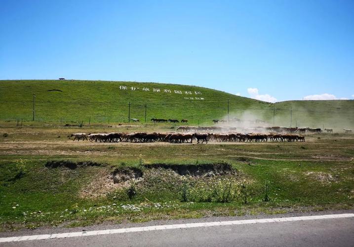 新疆去哈萨克斯坦签证怎么办？-第2张图片-花冠旅游服务