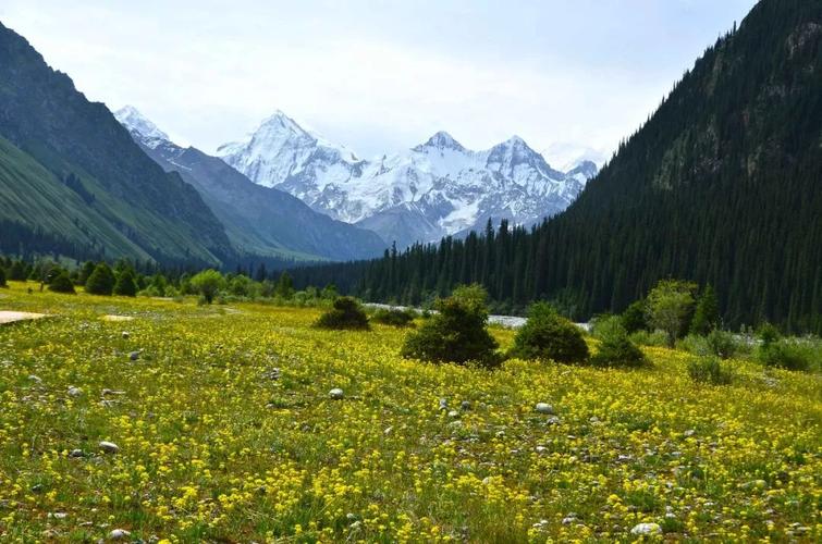 新疆去哈萨克斯坦签证怎么办?-第3张图片-花冠旅游服务 新疆去哈萨克斯坦签证怎么办?-第3张图片-花冠旅游服务